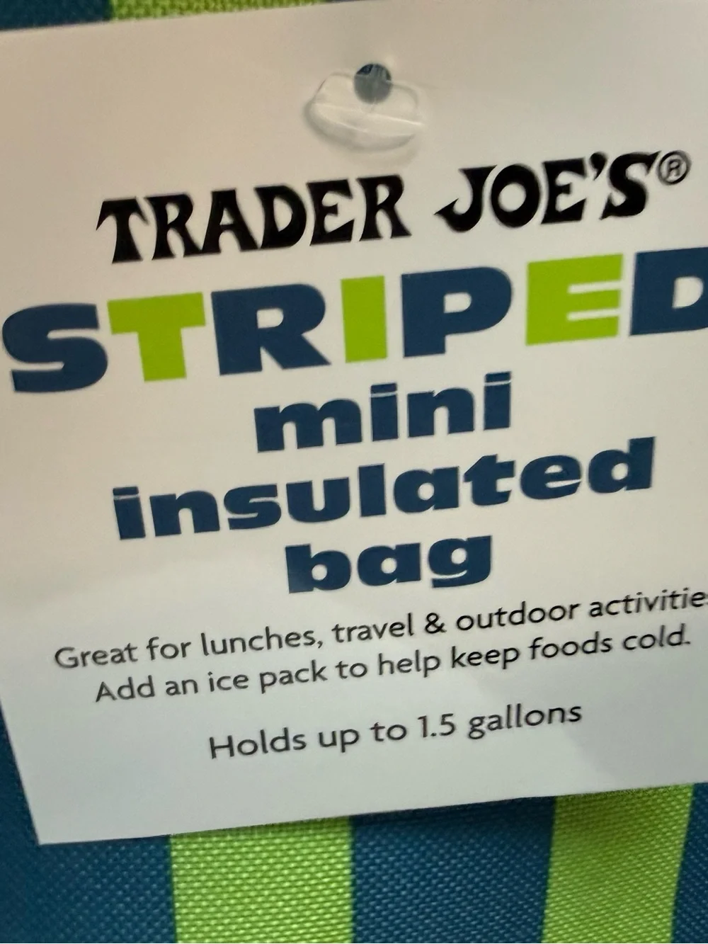 Sold out Striped Mini Insulated Tote